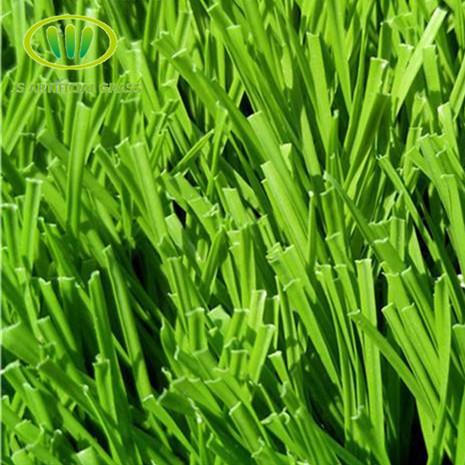 Realistic Synthetic Grass