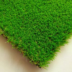 Khu dân cư tổng hợp cỏ