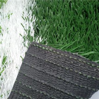 Cỏ tổng hợp cho bóng đá