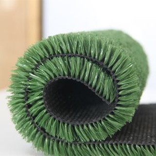 Turf tổng hợp cho ngôi nhà
