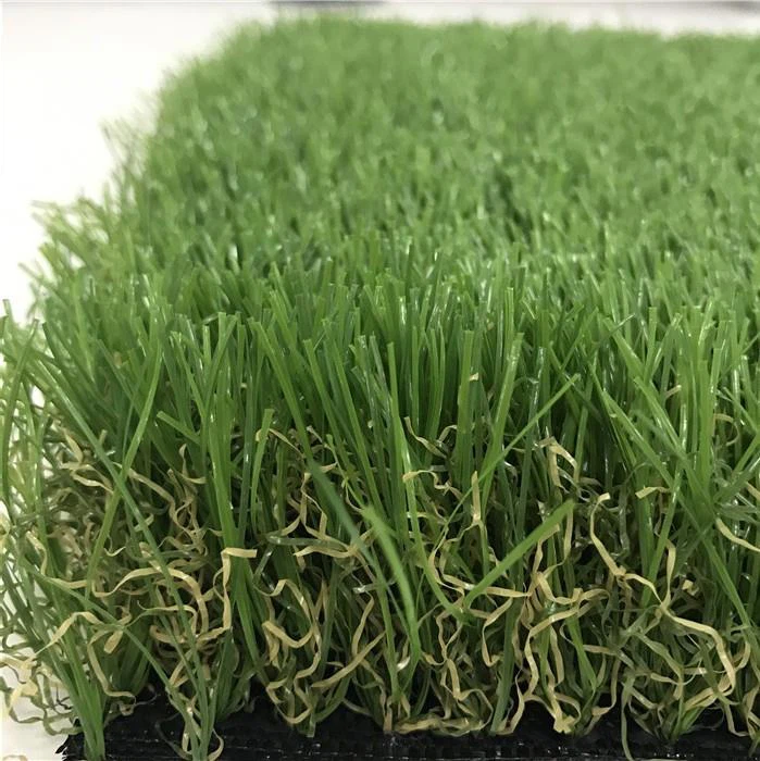 Grass Yard