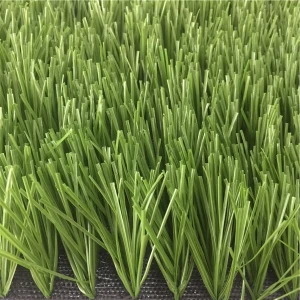 Sân thể thao tổng hợp Turf