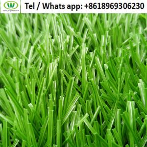 Sân cỏ nhân tạo