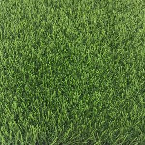 Cỏ Faux tốt nhất