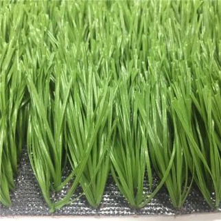 Sân cỏ bóng đá tổng hợp cho lĩnh vực