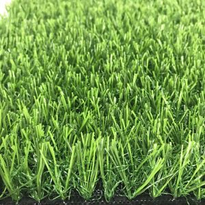 Lĩnh vực tổng hợp