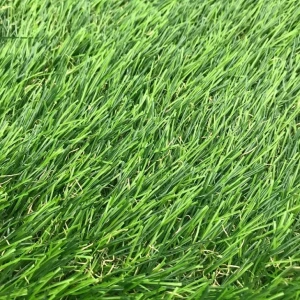 Cỏ tổng hợp Pet Turf Garden Lawn