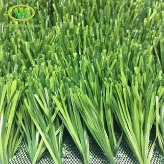 Tổng hợp Turf Infill