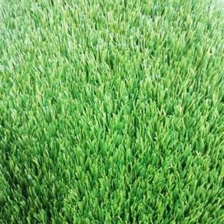 Tổng hợp sân cỏ