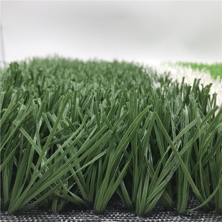 High Resolution Soccer Grass Background