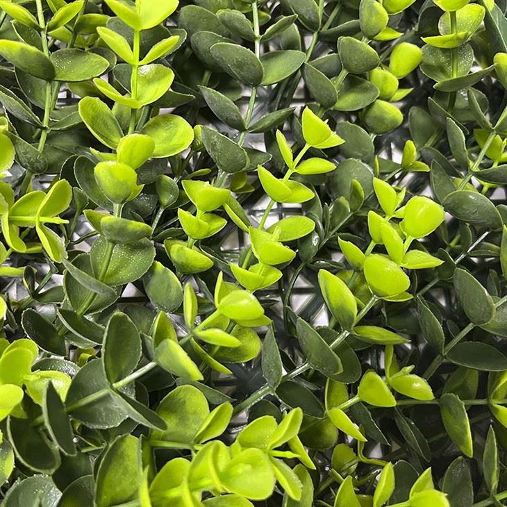 Artificial Grass Wall